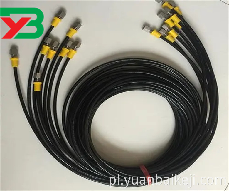 C6 Webp Jpg C6 Webp Jpg